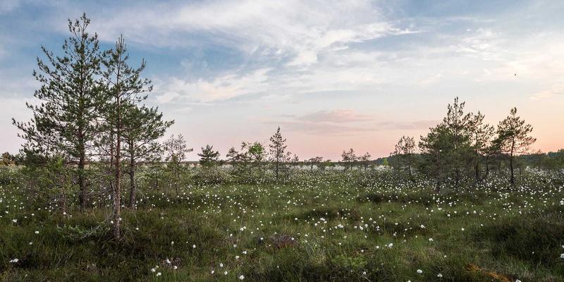 掘金新利马：重型机械租赁市场的精密加工革命与投资蓝海