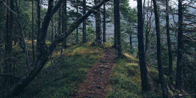 新利马与圣保罗：工业设备与自动化如何重塑巴西经济双引擎