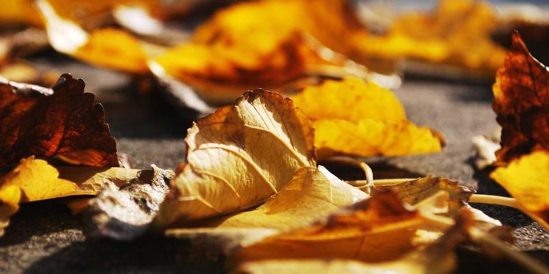 新利马交通网络规划:精密加工产业的效率引擎与工业解决方案