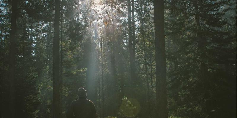 新利马工业4.0人才困局:如何通过校企合作锻造下一代自动化工程师?