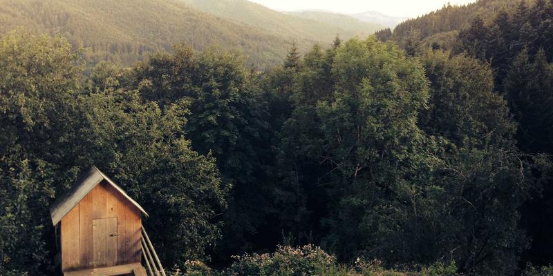 新利马工业物联网(IIoT)实践指南：从设备数据采集到智能决策的完整路径