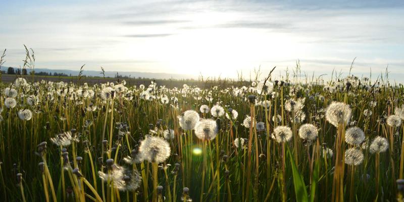 新利马精密加工企业如何破局?一份低成本数字化转型的实战指南