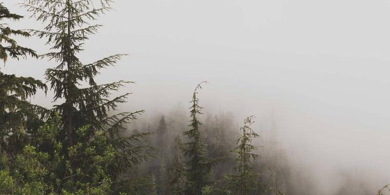 精密制造如何拥抱绿色未来?新利马工业设备的节能实践与循环经济启示